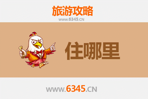 温州鹿城旅游民宿全攻略：古韵与现代交织的栖居体验